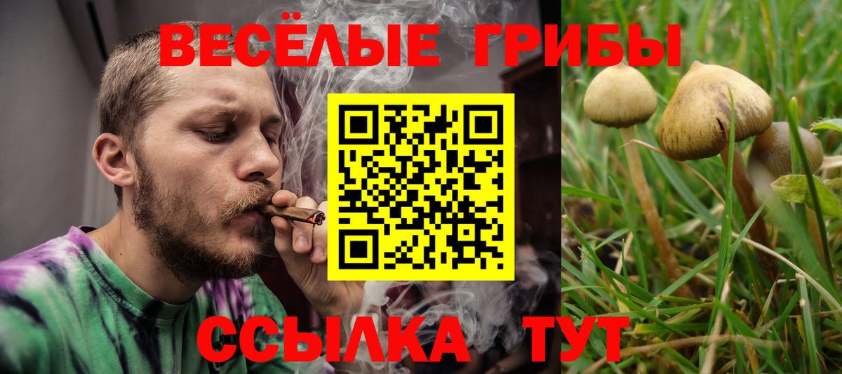 Галлюциногенные грибы прущие грибы  Псилоцибиновые грибы прущие грибы  Гагарин  Вход с VPN 