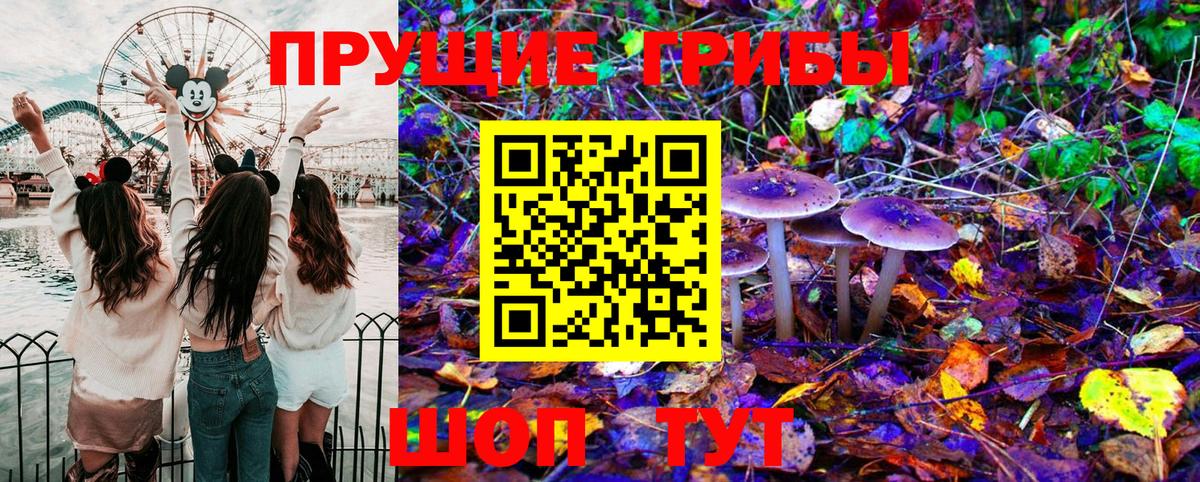 Галлюциногенные грибы Psilocybe Гагарин