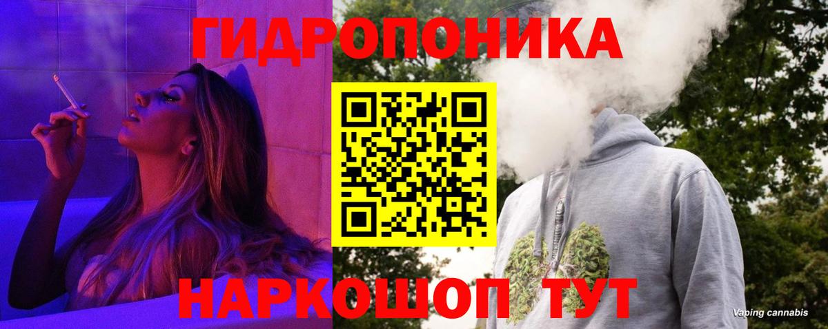 Конопля сатива Гагарин